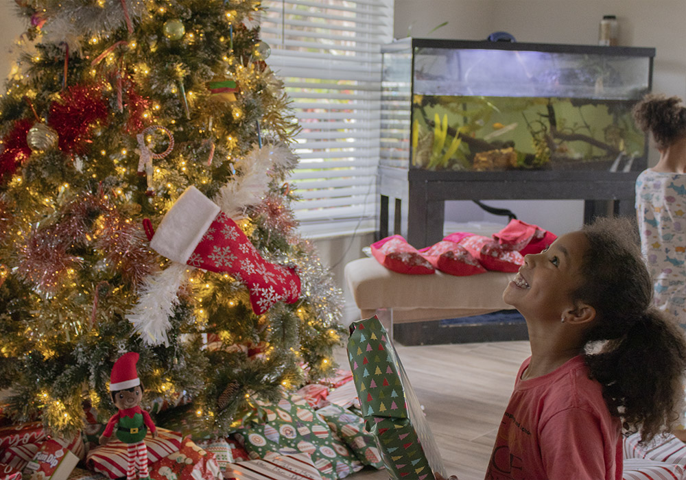 Christmas, 2024