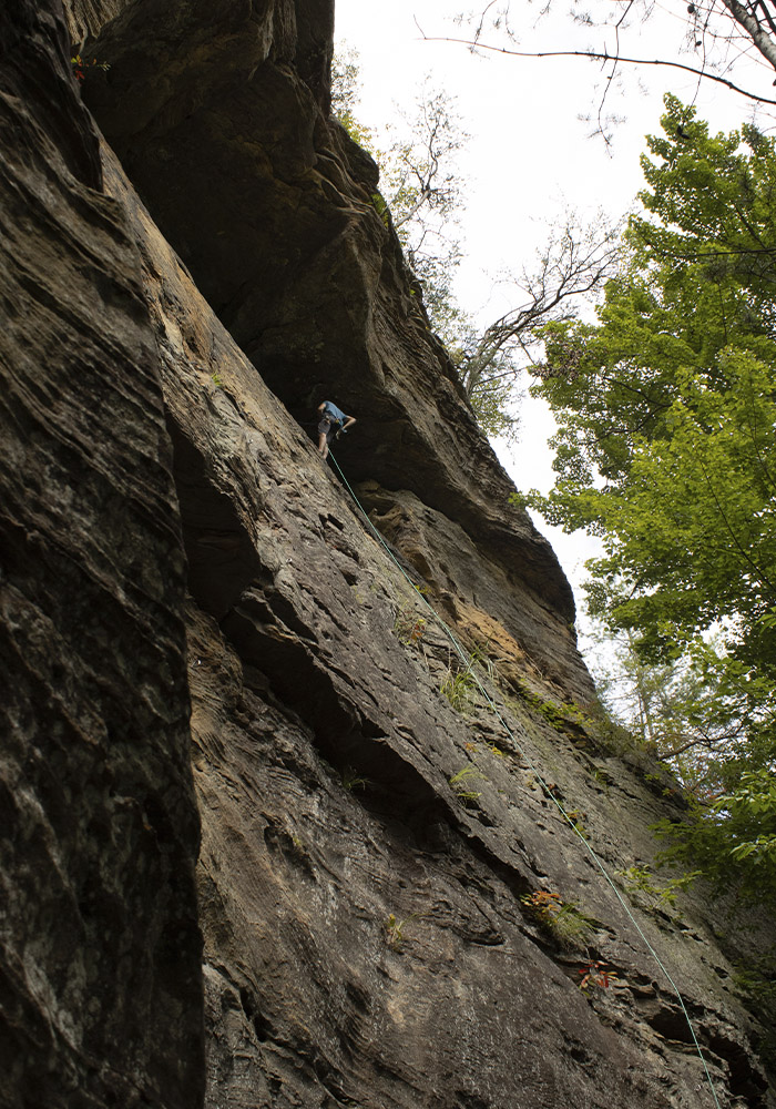 Rock Climbing, 2024