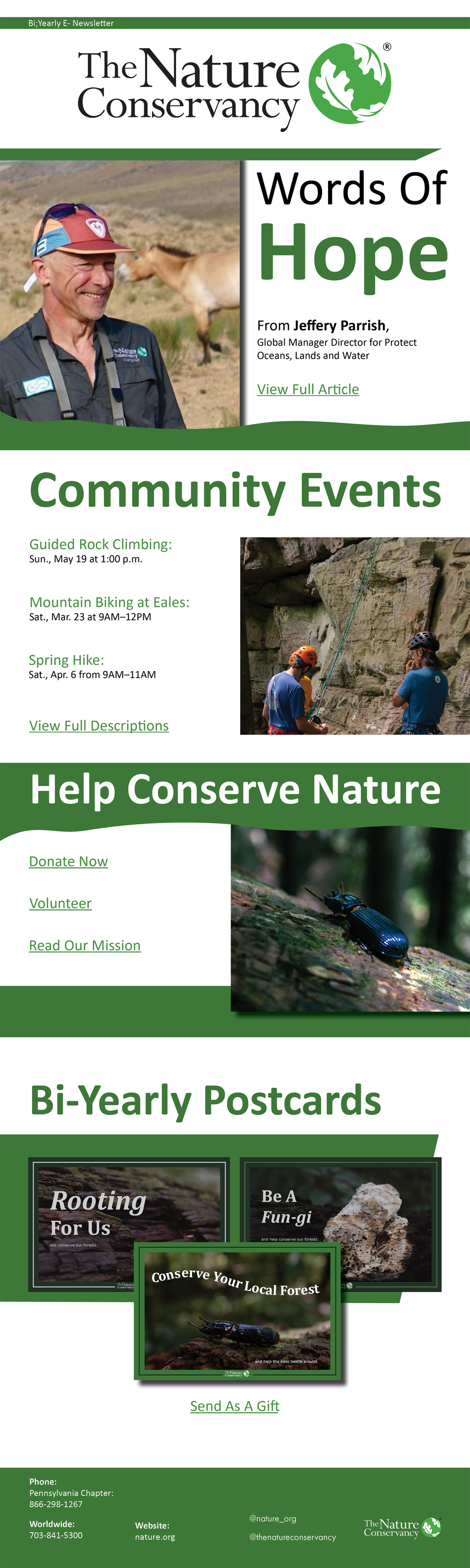 E-Newsletter